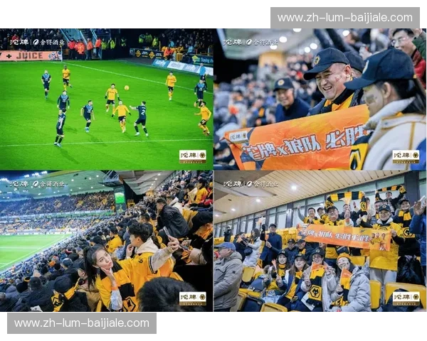 激情碰撞，绿茵传奇：巴西vs荷兰直播，一场不容错过的足球盛宴